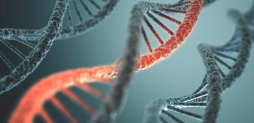 DNA