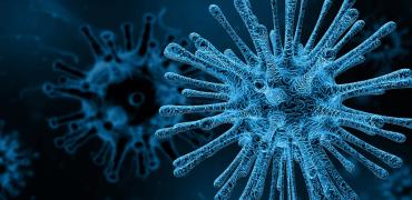 Virus Virus