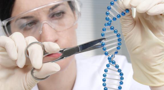 Safety framework Biotechnology 