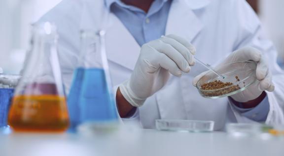 Analist werkt met petrischaal en erlenmeyers