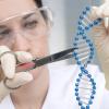 Safety framework Biotechnology Safety framework Biotechnology